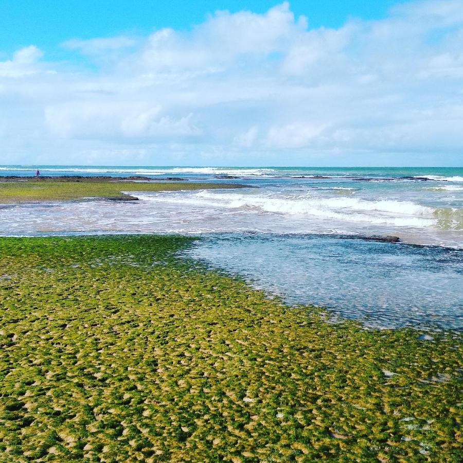 Pousada Ilha Do Meio 伊塔齐米林 外观 照片